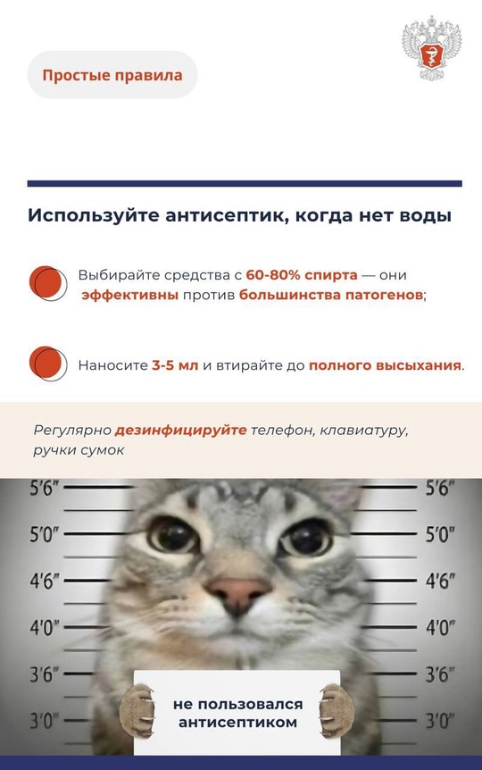 #ПростыеПравила: Как нужно мыть руки?