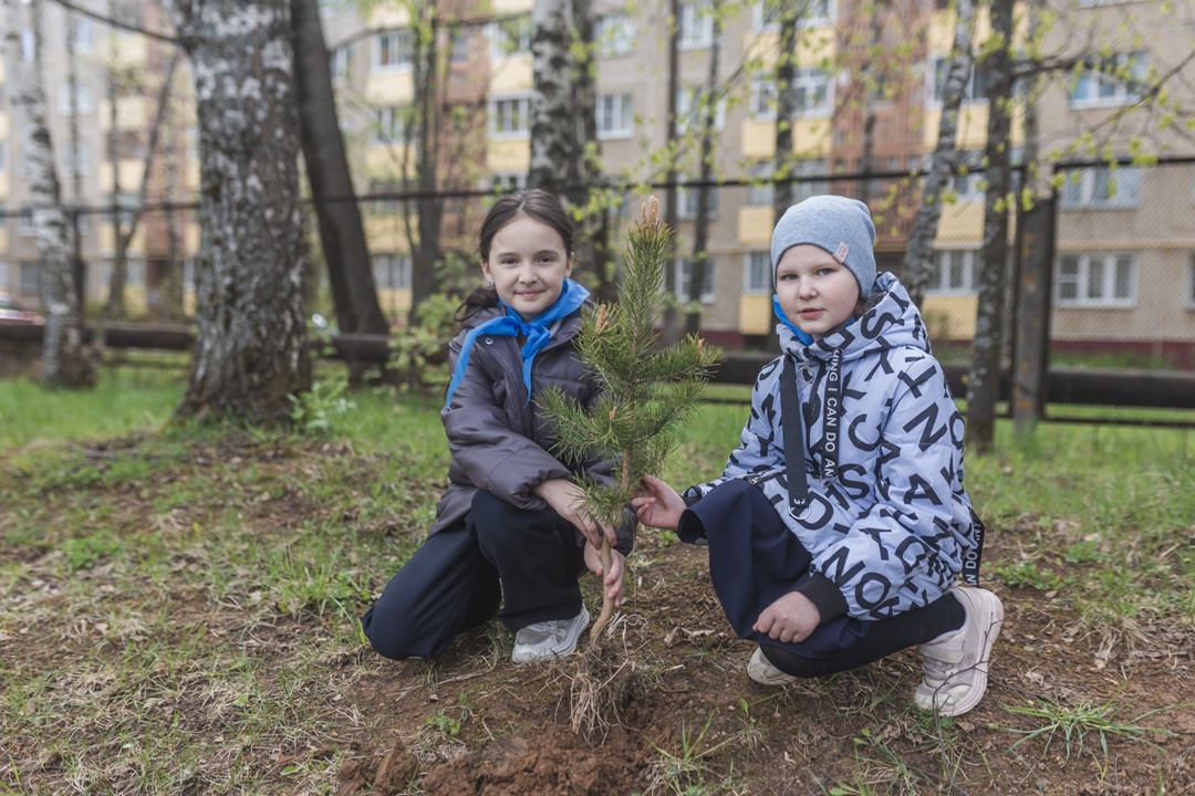Костромские школьники присоединились к акции «Сад памяти»