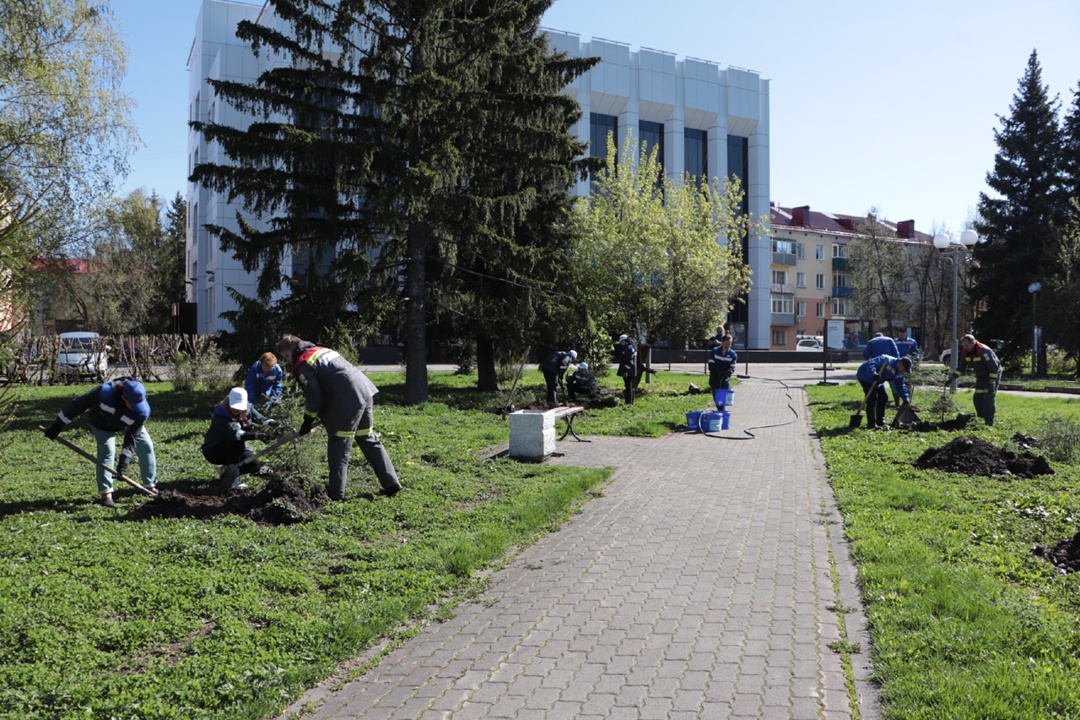 Продолжаем весенние посадки В Междуреченске мы высадили 14 молодых елочек у городской больницы и еще 22 – возле офиса компании на проспекте Коммунистическом.