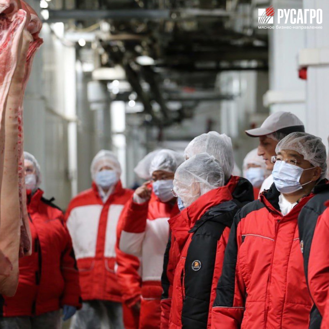 Перспективы поставок свинины на международный рынок и возможности сотрудничества с Китаем в ходе встречи обсудили генеральный директор Мясного…