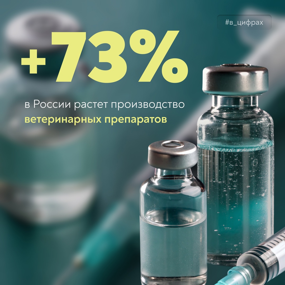 С заботой о здоровье животных В прошлом году в стране выпустили свыше 32 млрд доз иммунобиологических препаратов для животных — это в 1,7 раза больше, чем…