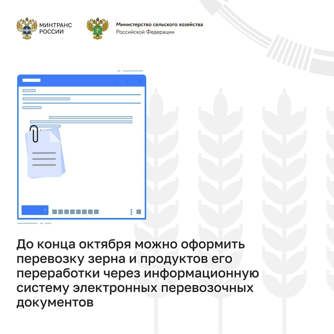 Прозрачность перевозок: запущен эксперимент по цифровизации доставки зерна