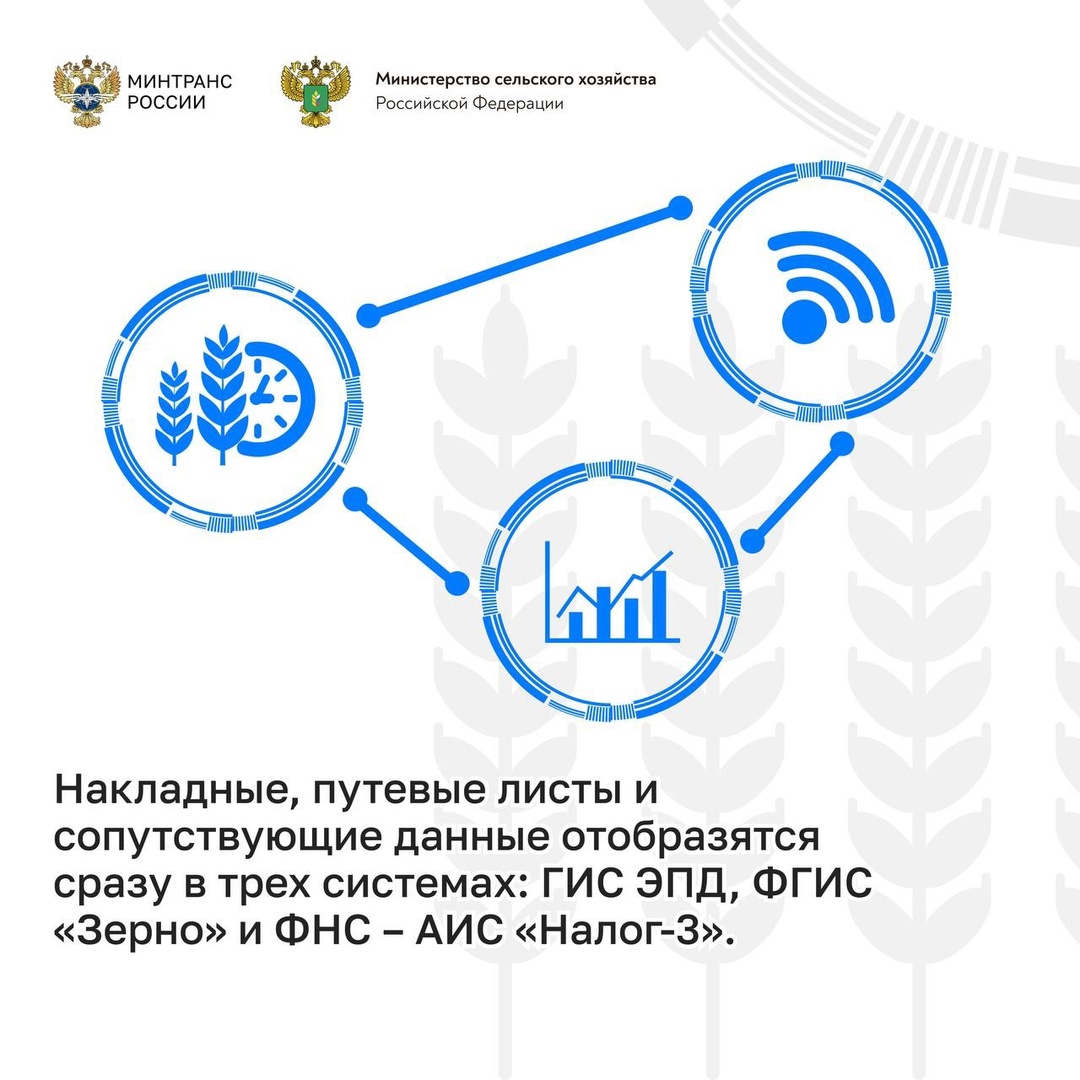 Прозрачность перевозок: запущен эксперимент по цифровизации доставки зерна