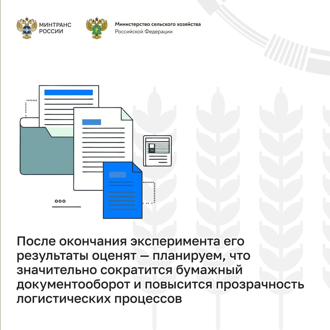 Прозрачность перевозок: запущен эксперимент по цифровизации доставки зерна