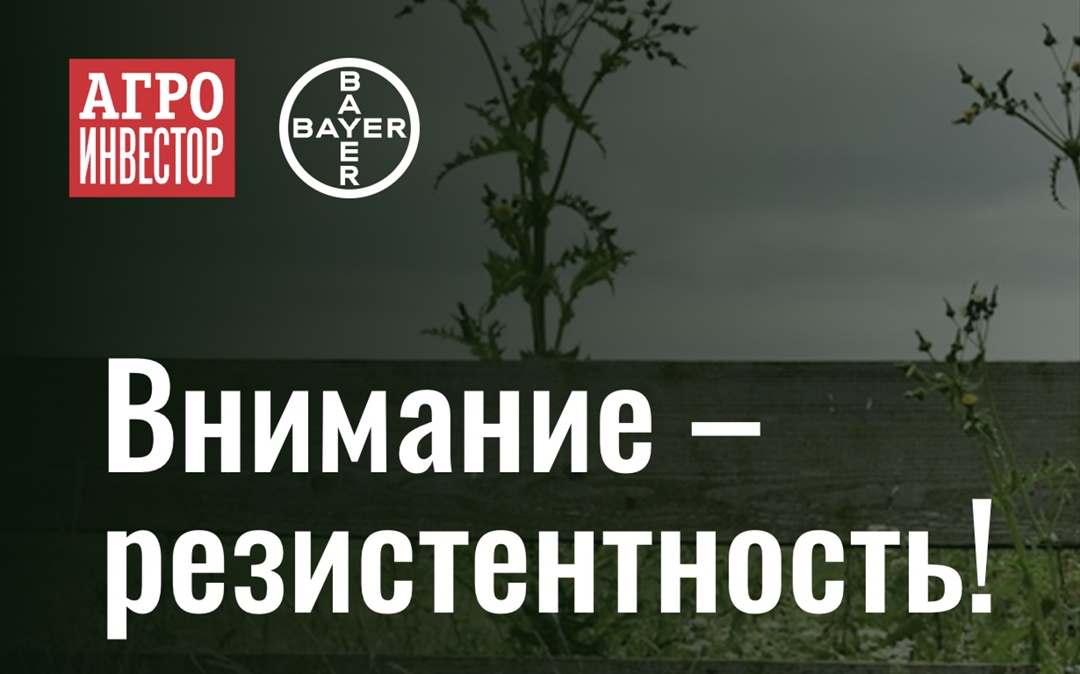 Специалисты Краснодарского филиала Федерального центра охраны здоровья животных (ФГБУ «ВНИИЗЖ» Россельхознадзора) установили зараженность 400 т…