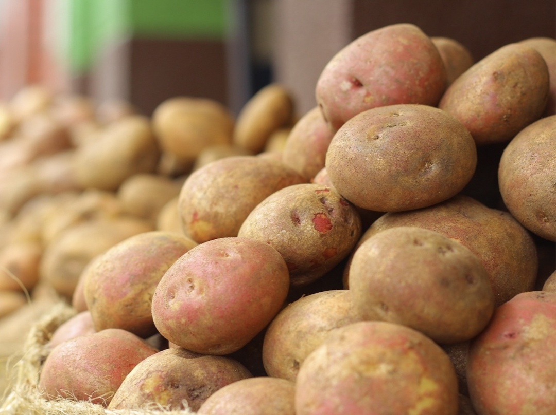 По данным Росстата, цены на плодоовощную продукцию с 6 по 12 мая снизились на 0,6%, неделей ранее они уменьшились на 0,3%. В том числе огурцы стали дешевле на…