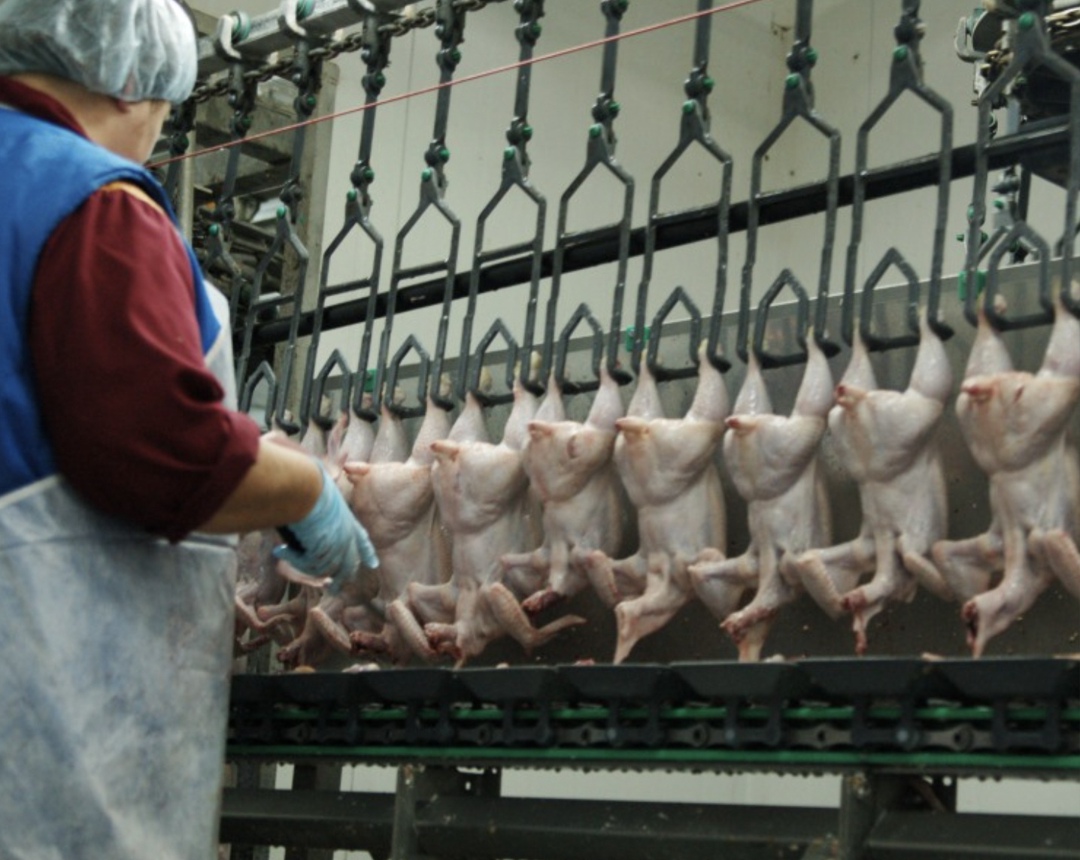 Компания «Руском», которой ранее владел омский бизнесмен Темури Латария, начала процесс реорганизации, который завершится слиянием с АО «Куриное царство»…