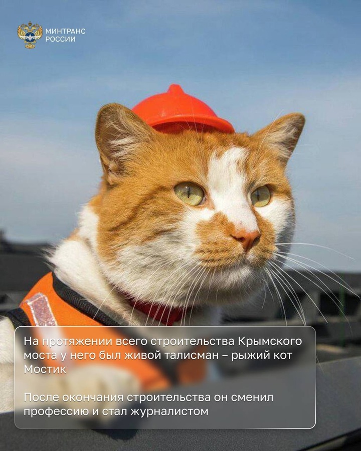 В этот день семь лет назад Президент России Владимир Путин возглавил автоколонну строительной техники, которая первой проехала по Крымскому мосту