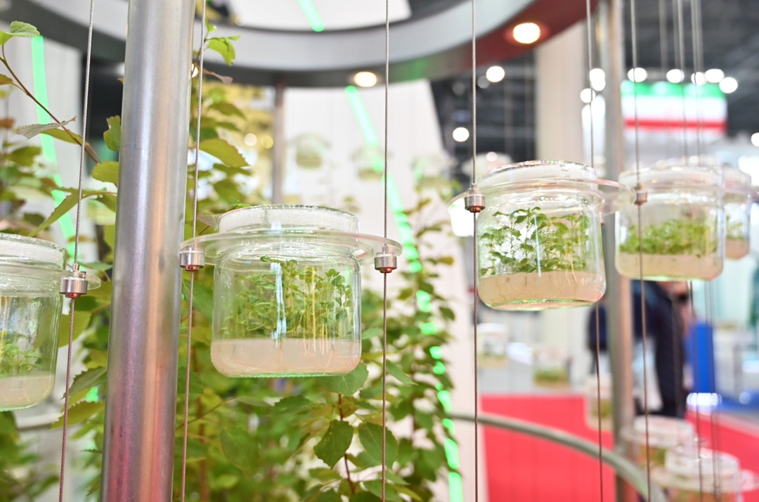 «Татнефть» на международном форуме «Россия — Исламский мир: KazanForum»