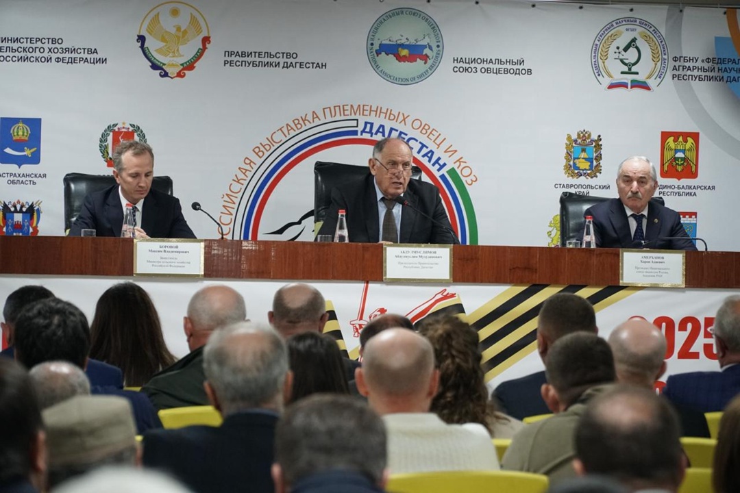 Обсудили развитие овцеводства на XXV Российской выставке племенных овец и коз в Дагестане