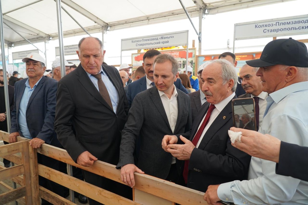 Обсудили развитие овцеводства на XXV Российской выставке племенных овец и коз в Дагестане