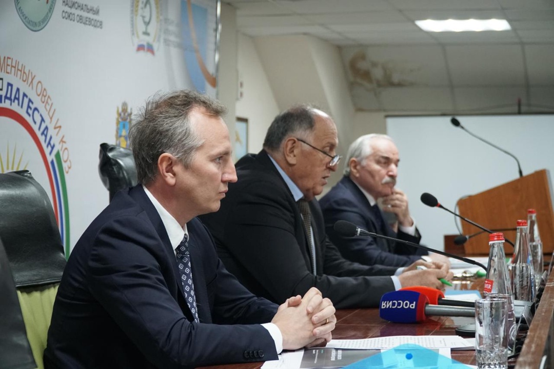 Обсудили развитие овцеводства на XXV Российской выставке племенных овец и коз в Дагестане