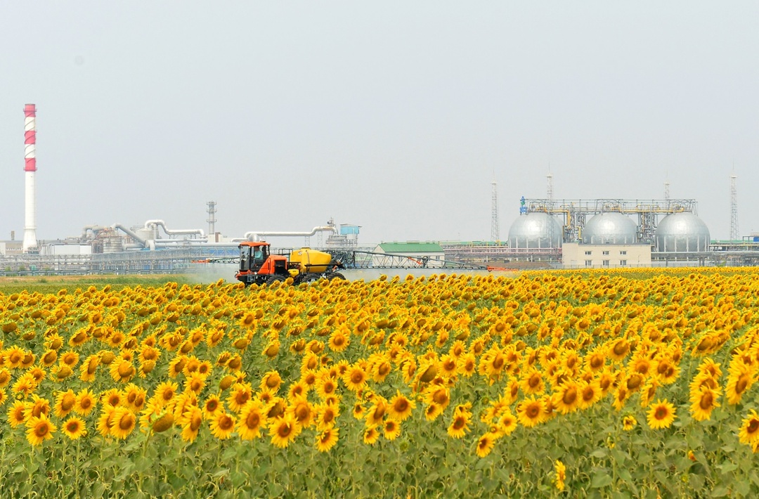 ФосАгро публикует операционные и финансовые результаты за 1 квартал 2025 г.