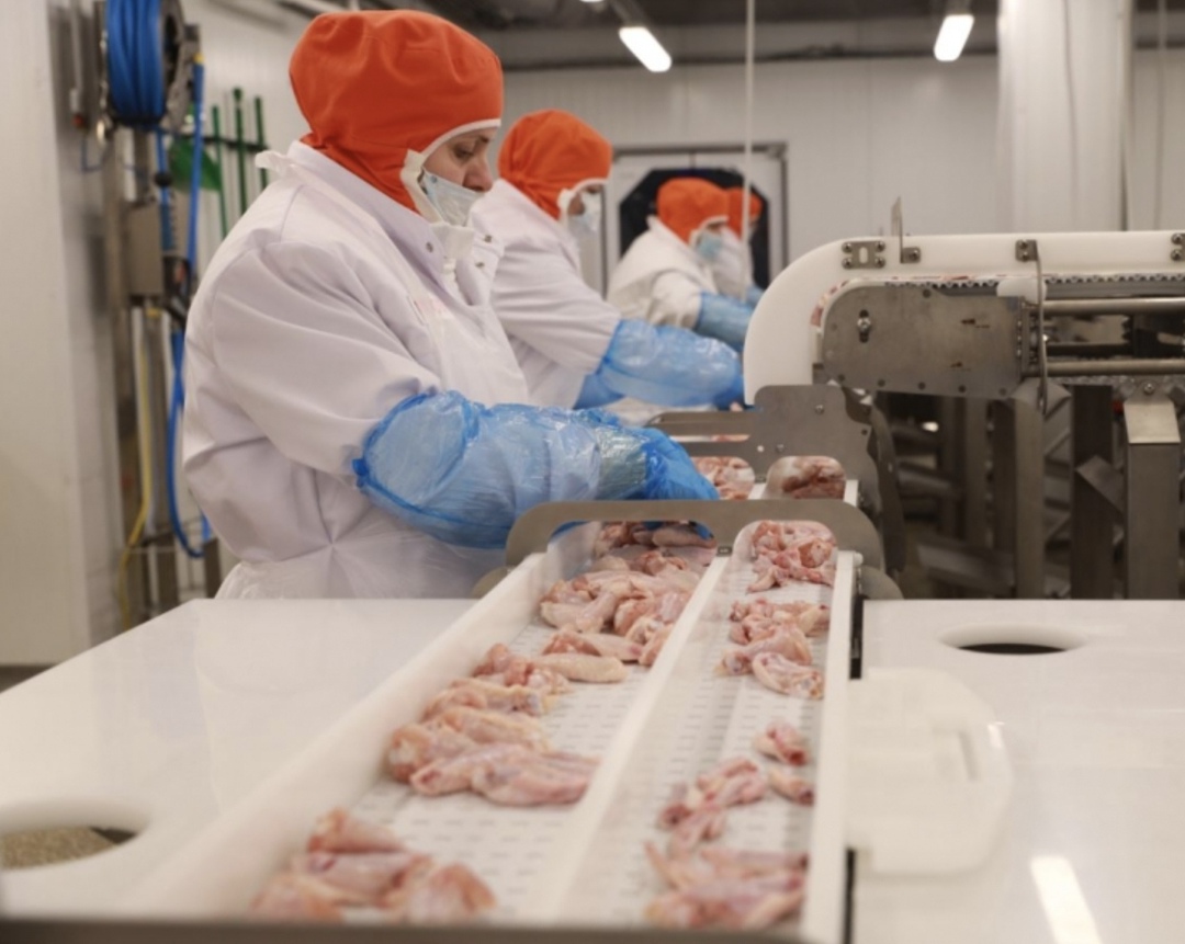 Производство продукции по стандартам халяль актуально как для внутреннего потребления, в связи с тем, что значительная часть населения России исповедует ислам,…