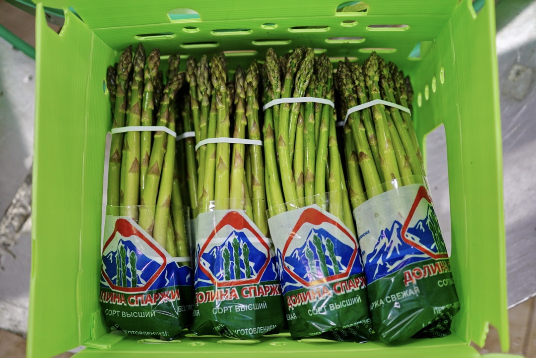 «Долина спаржи», крупнейший в России и единственный на юге производитель спаржи из Северной Осетии, в этом году планирует собрать 250 т урожая против 220-230…