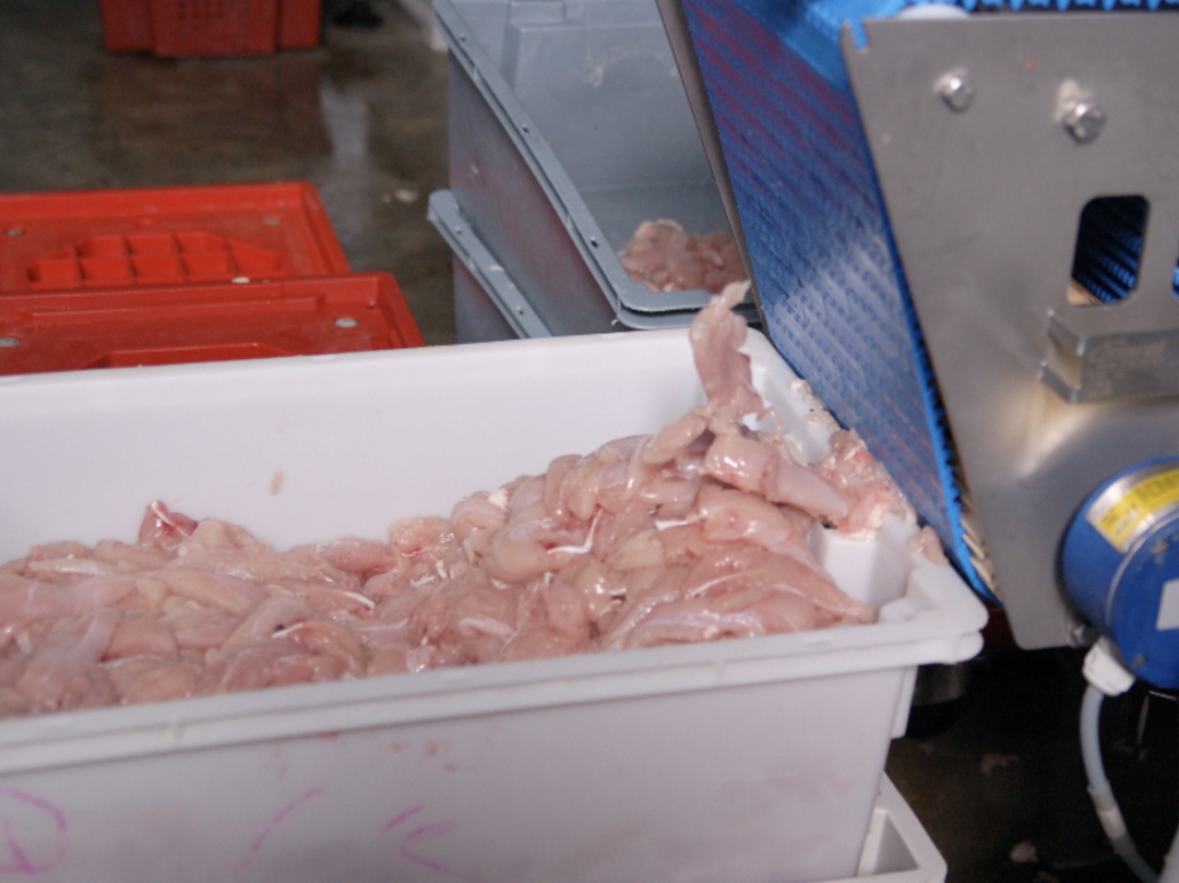 В этом году группа «Сибагро» планирует увеличить производство мяса на 3-4%