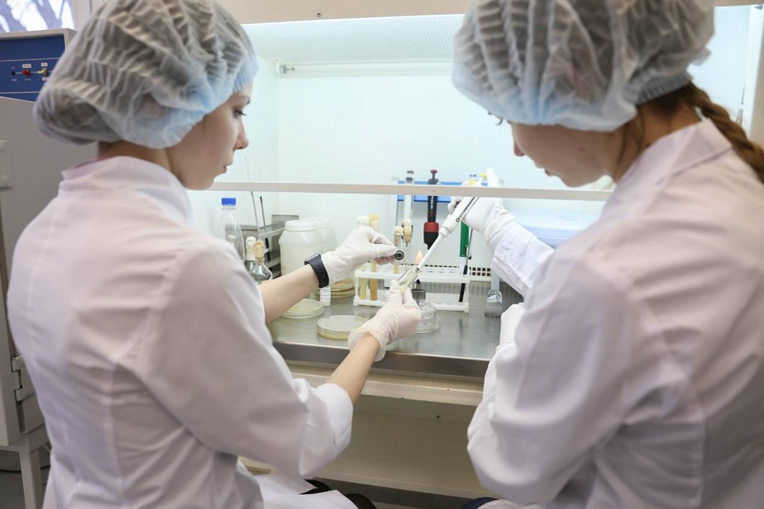 Определены 500 победителей второго конкурсного отбора на назначение стипендии Президента РФ для аспирантов и адъюнктов