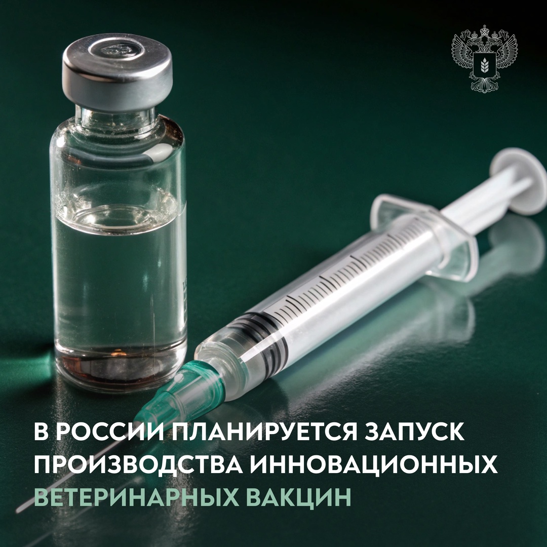 В России появится производство инновационных ветеринарных вакцин
