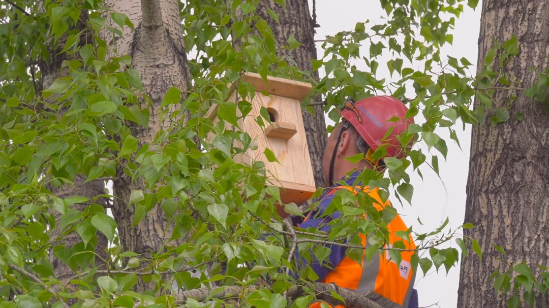 Продолжаем наши экологические акции