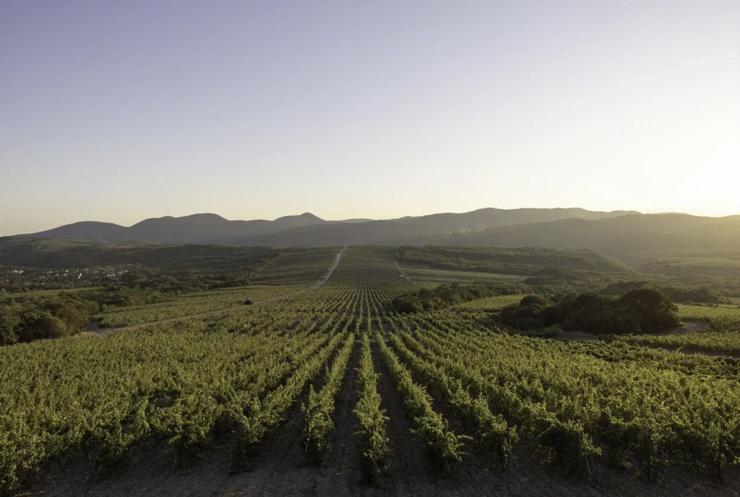 По итогам 12 месяцев 2024 года общий объем продаж группы компаний «Абрау-Дюрсо», лидера на рынке игристых вин России, составил рекордные 66,862 млн бутылок,…