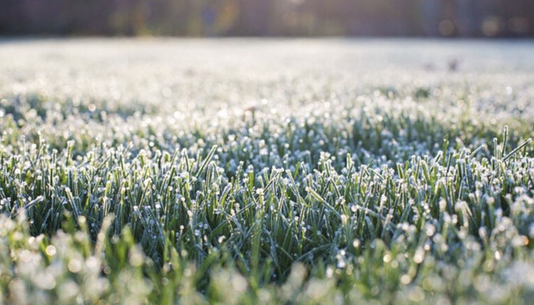 Временно исполняющий обязанности губернатора Ростовской области Юрий Слюсарь сообщил о введении в регионе режима чрезвычайной ситуации в связи с ущербом,…