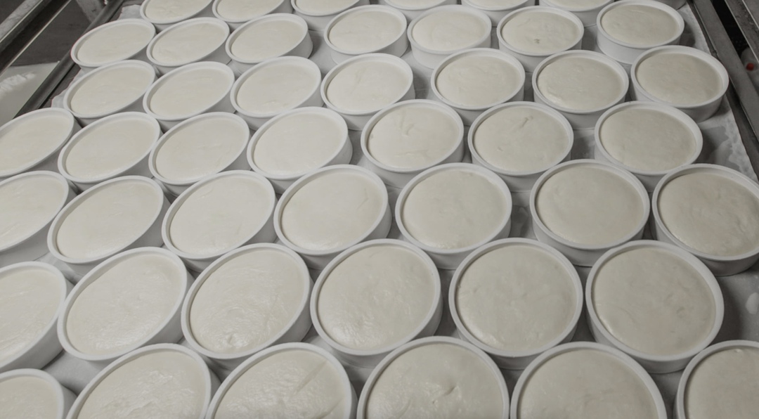 «Красногвардейский молочный завод» (Адыгея) намерен вложить 1,1 млрд руб