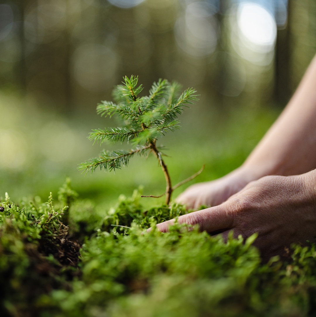 «Заботиться о природе важно для всех, кто живет на планете Земля», — говорит Эдуард Мустаев, наш эколог из Оренбуржья
