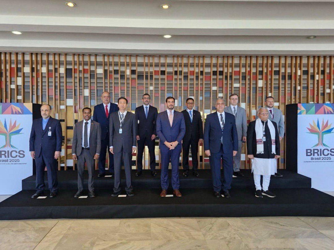 Россия и страны-участницы и партнёры БРИКС обсудили сотрудничество в энергетике