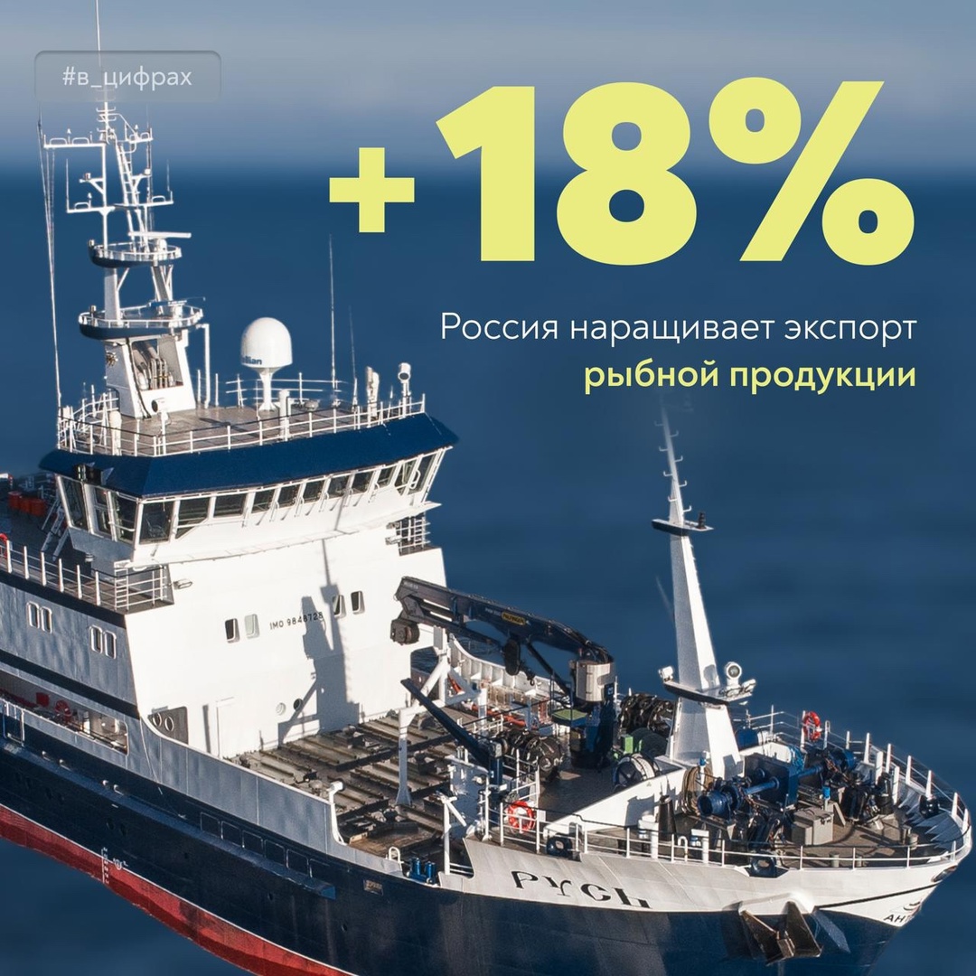 Обсудили развитие экспорта рыбной продукции на комиссии Госсовета