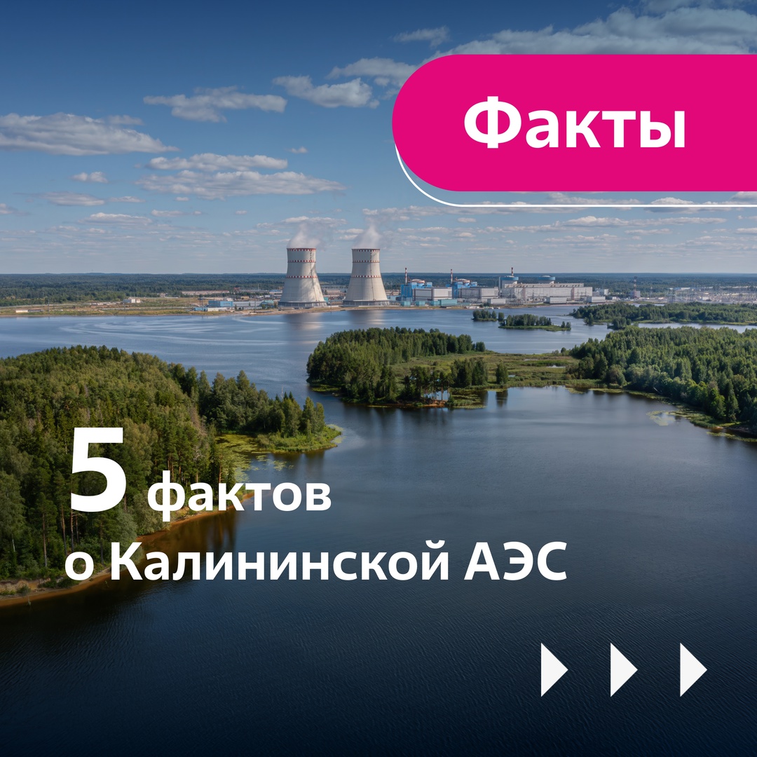 Калининская атомная электростанция расположена вблизи города Удомля Тверской области. Она состоит из 4 энергоблоков с реакторами ВВЭР-1000