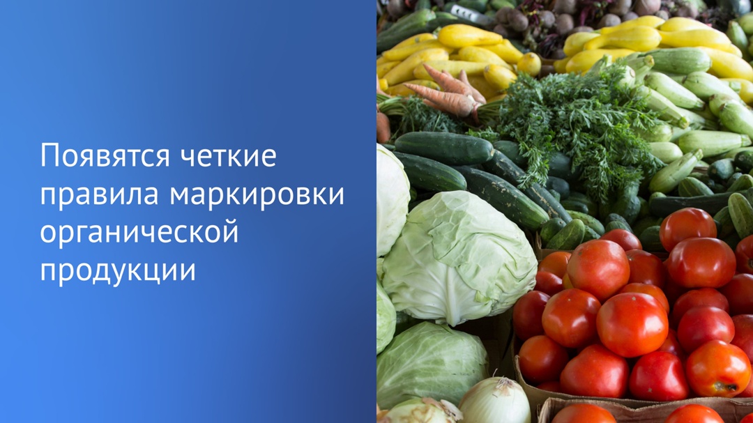 Просто так нанести на продукты знак «био» или «эко» больше не получится — депутаты приняли в первом чтении законопроект, который вводит четкие правила в этой…