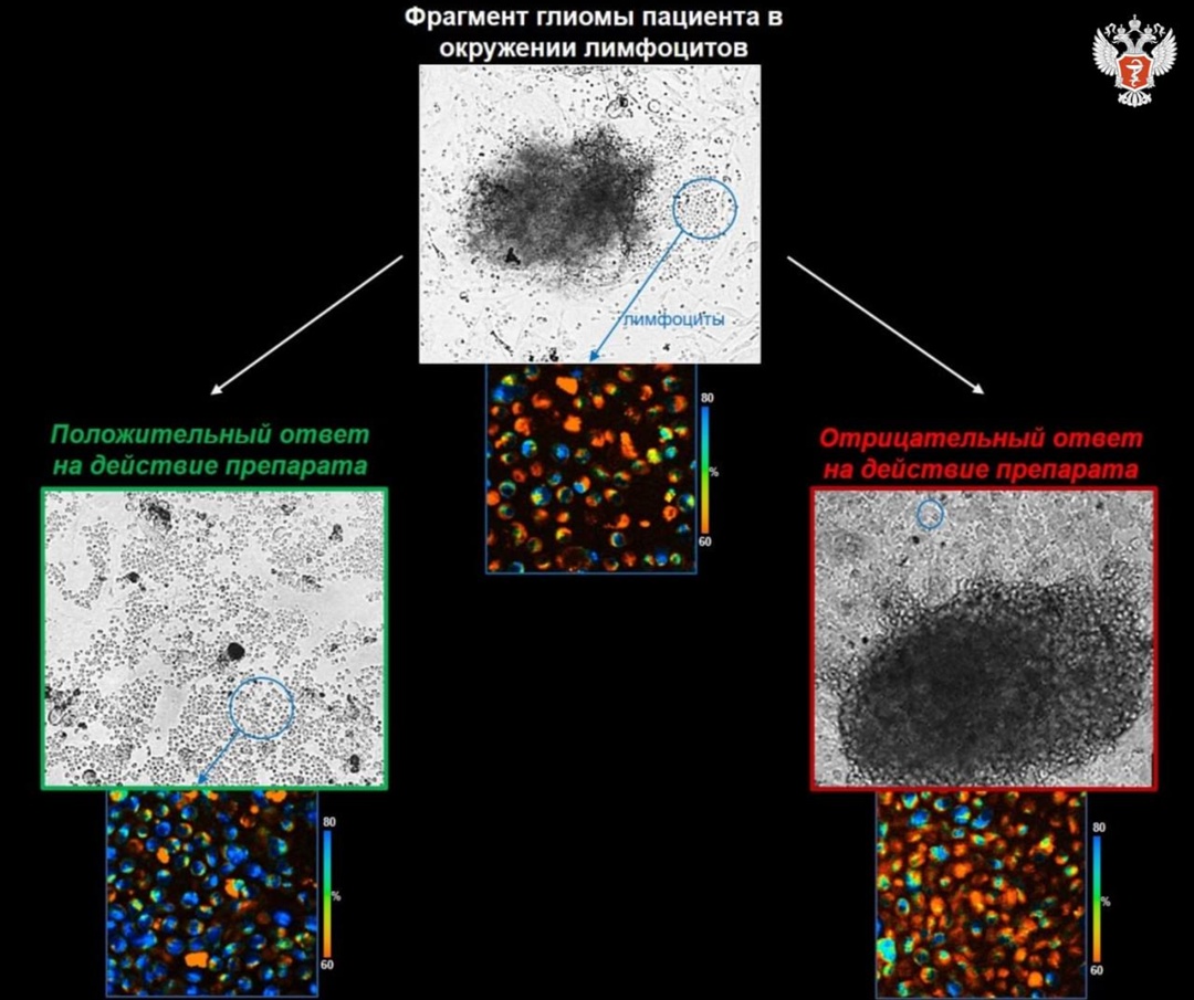 Сегодня среда, а значит #НаучнаяСреда