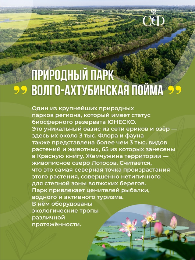 В Совете Федерации проходят Дни Волгоградской области
