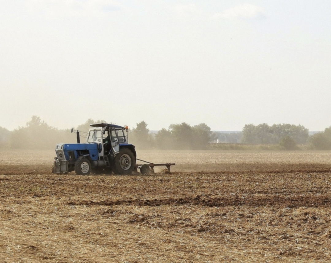 По данным региональных органов АПК, по состоянию на 19 мая в России было посеяно 1160,9 тыс. га сахарной свеклы. Сев продолжается в Центральном и Приволжском…