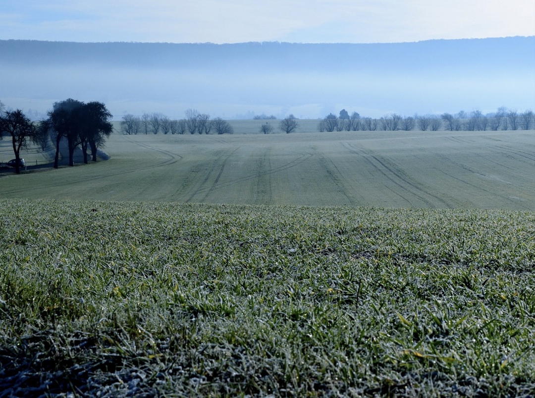 Национальный союз агростраховщиков (НСА) ввел процедуру реагирования ЧС в Белгородской, Воронежской и Ростовской областях, в которых был объявлен…
