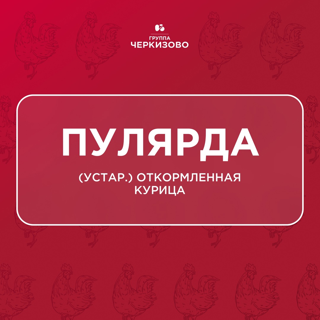 Что на обед? На первое шти, на второе — жарево из пулярды или кулеш с солониной