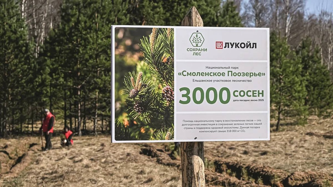 Посади лес, не покидая АЗС Природоохранная стратегия ЛУКОЙЛа соответствует теме Международного дня биоразнообразия в году — «Гармония с природой и устойчивое…