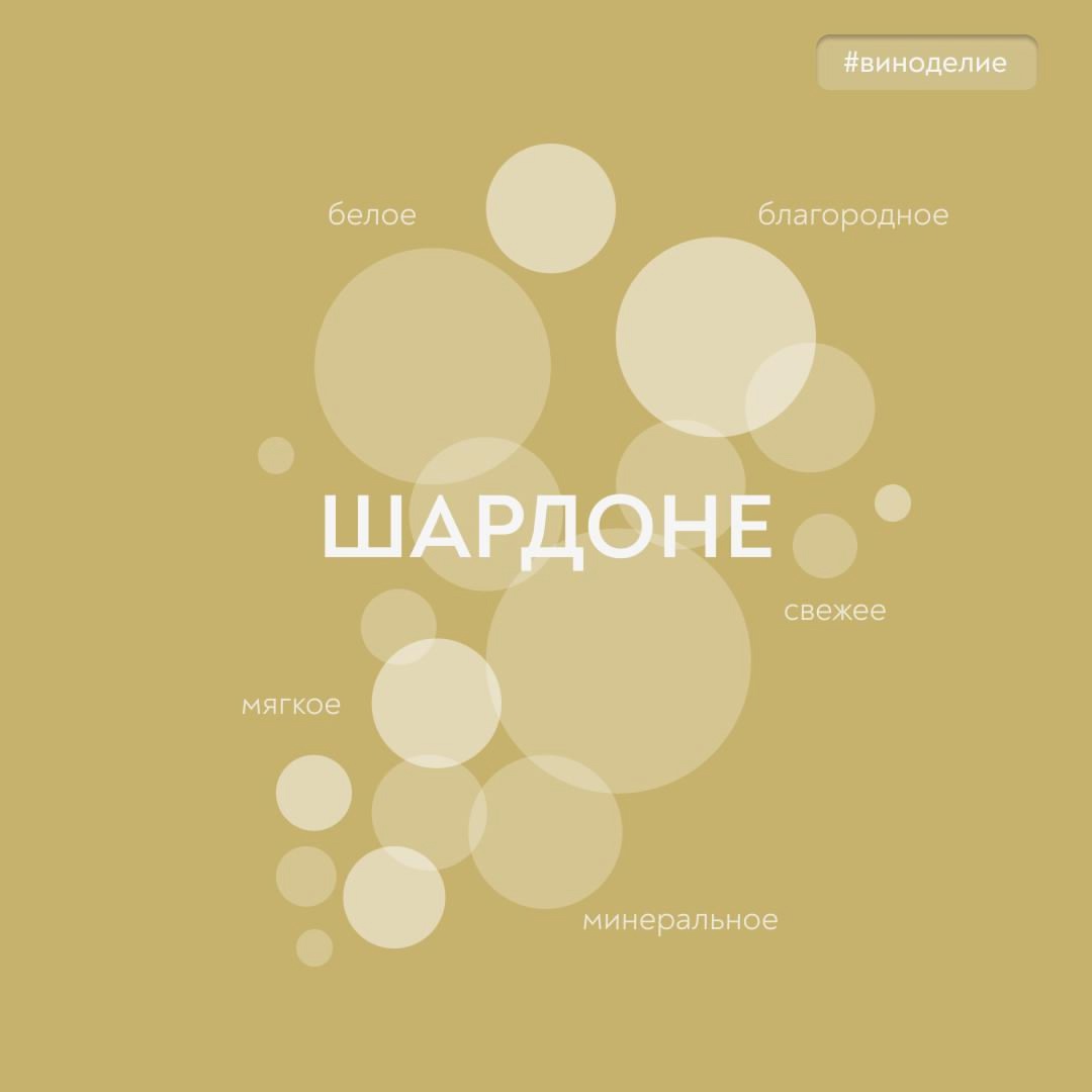 Вино без стереотипов Новый герой нашей с «Винным гидом России» рубрики #вино_недели – звезда виноделия!