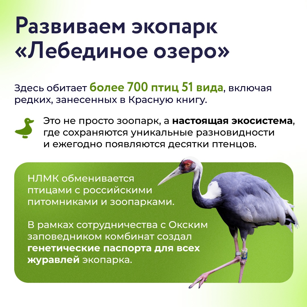 Группа НЛМК применяет лучшие мировые практики для сохранения биоразнообразия