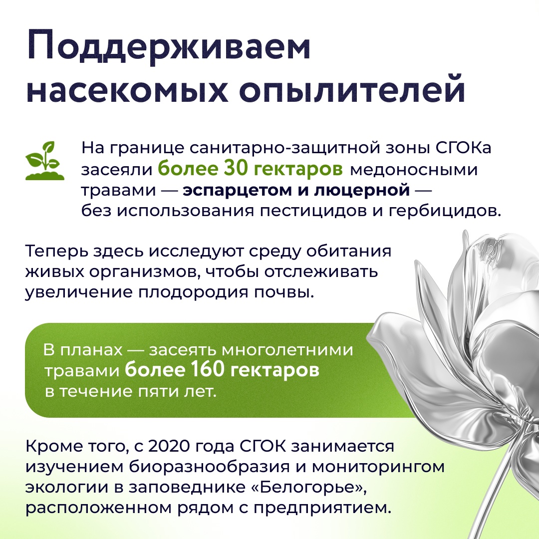 Группа НЛМК применяет лучшие мировые практики для сохранения биоразнообразия