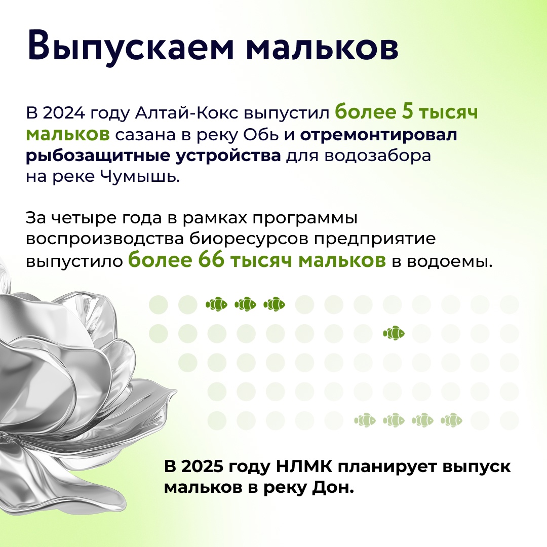 Группа НЛМК применяет лучшие мировые практики для сохранения биоразнообразия