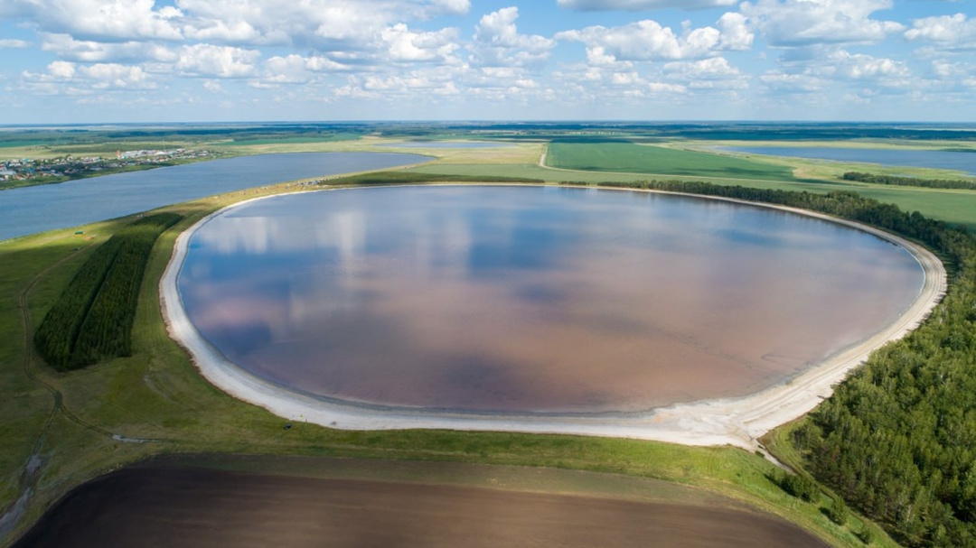 Сегодня отмечается Международный день биологического разнообразия. «Роснефть» вместе с ведущими учёными страны реализует значимые экопроекты по всей России.