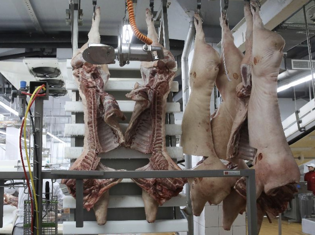 Федеральная антимонопольная служба (ФАС) направила запросы крупнейшим производителям мяса птицы и свинины для оценки обоснованности их оптово-отпускных цен