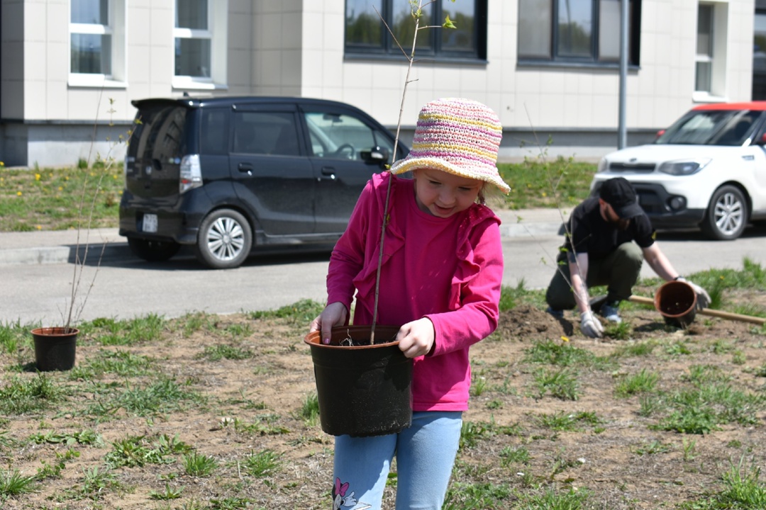 В год юбилея Великой Победы территорию микрорайона газовиков в Свободном украсила «Аллея памяти»