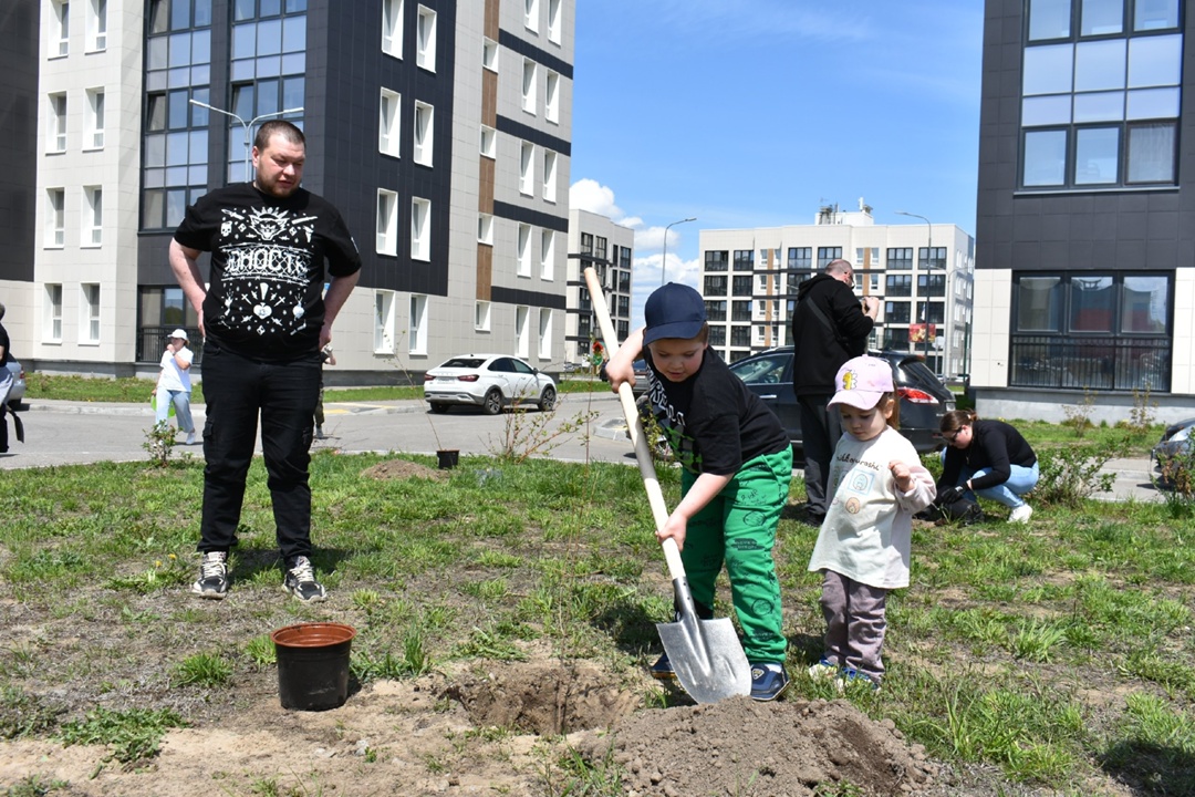В год юбилея Великой Победы территорию микрорайона газовиков в Свободном украсила «Аллея памяти»