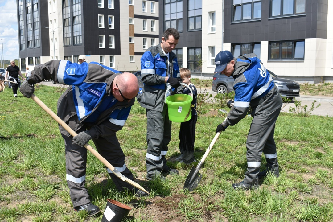 В год юбилея Великой Победы территорию микрорайона газовиков в Свободном украсила «Аллея памяти»