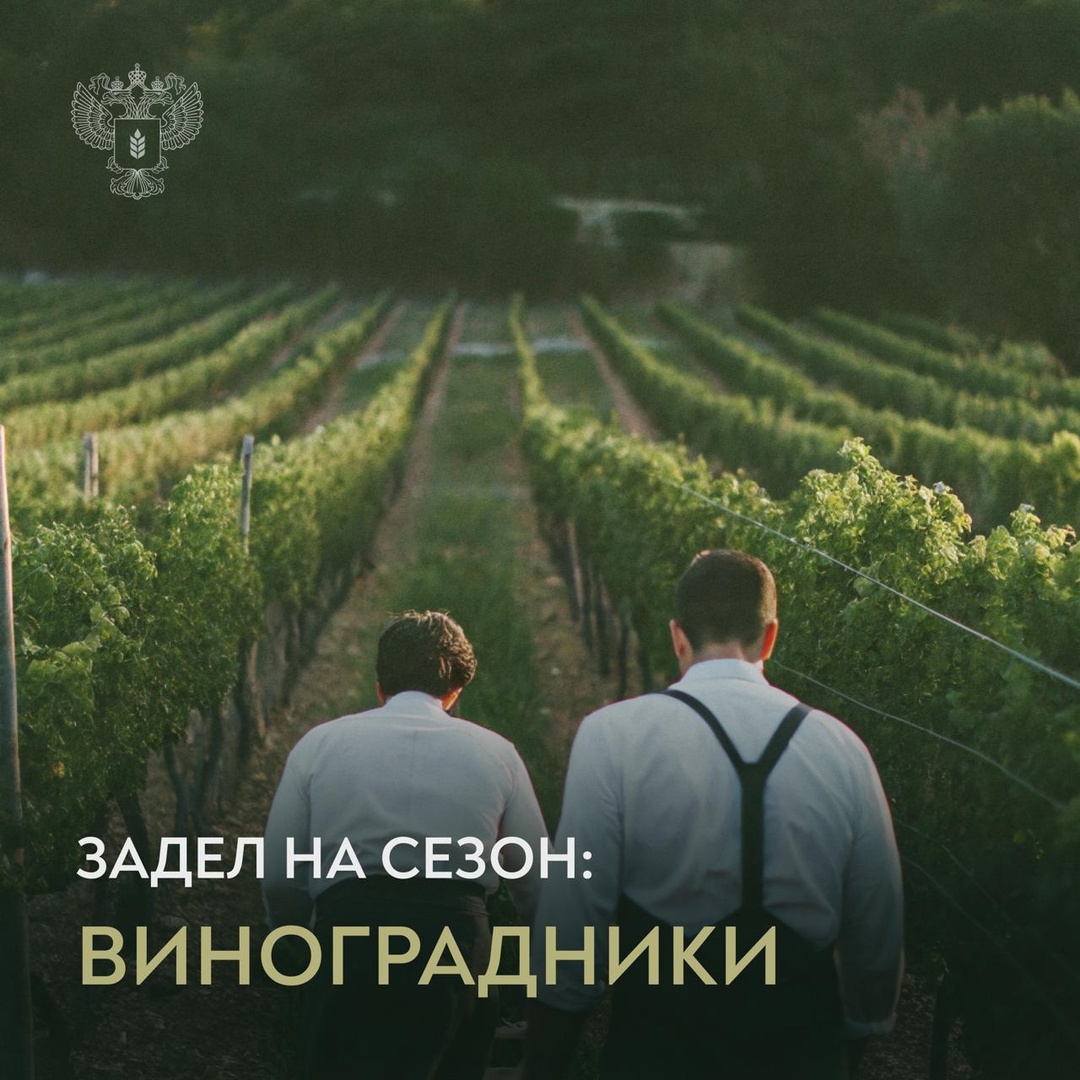 Успех урожая закладывается в мае Последний месяц весны – период активных работ на виноградниках. В это время формируется здоровье лозы и качество будущего вина