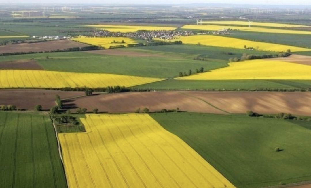 Правительство расширило госпрограмму эффективного вовлечения в оборот земель сельхозназначения. В рамках программы создадут единую федеральную почвенную карту,…