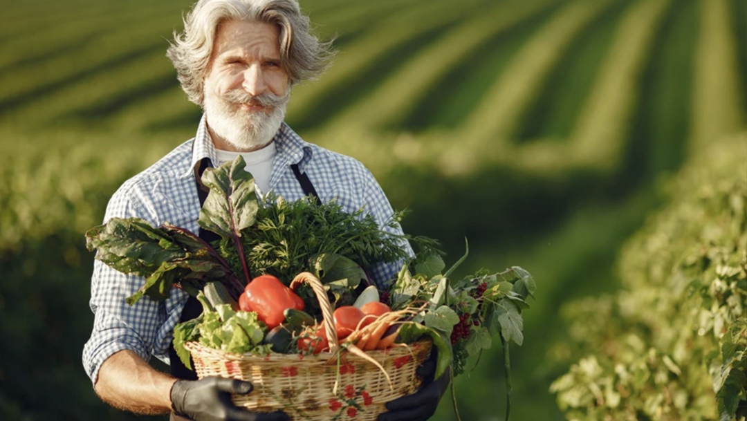 Минпросвещения зарегистрировало федеральный государственный образовательный стандарт среднего профессионального образования по профессии «фермер»