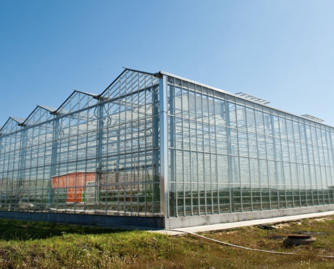 Корпорация развития Дальнего Востока и Арктики (КРДВ) подала иск о расторжении соглашения с резидентом территории опережающего развития тепличный комплекс…